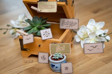 Nahaufnahme einer geöffneten Holzschatulle mit Sukkulente, weißen Orchideen und mehreren kleinen quadratischen und rechteckigen Labels mit Möwen-, Stern- und Schriftzugmotiven