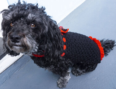 Crochet Pattern for the Dog Dress "Chic"