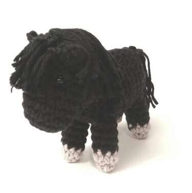 Minishetty - Bild 2