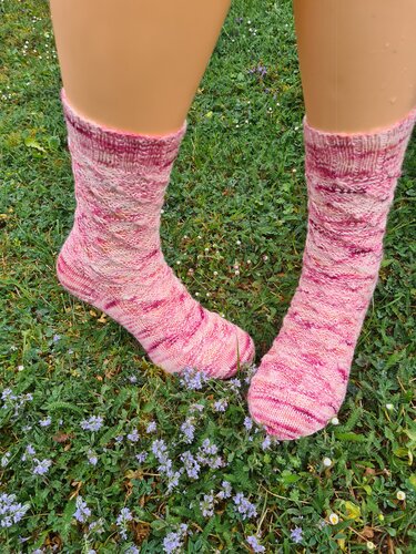 Sleeping Beauty Socks - Knitting