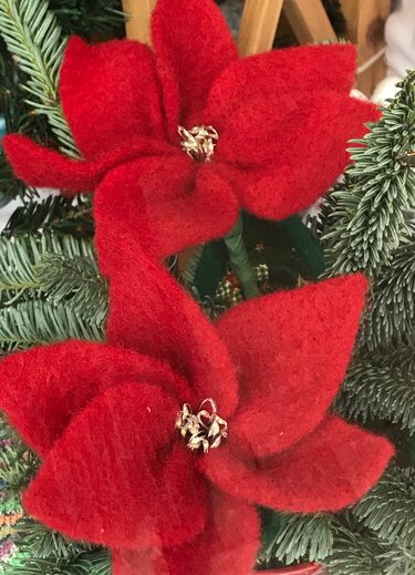 Leuchtende Christsterne - Basteln