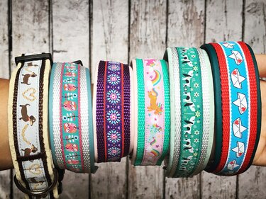 Anleitung Hunde-Halsband gepolstert - Nähen