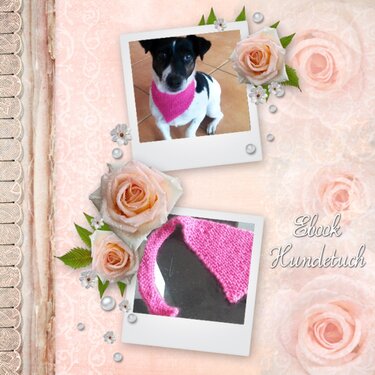 Detailaufnahme eines pinken, gestrickten dreieckigen Hundetuchs neben Foto eines Hundes, Maschenstruktur sichtbar