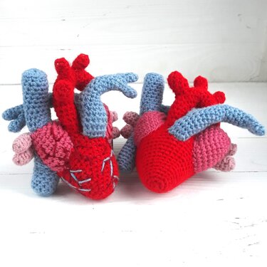Anatomical heart Crochet Pattern