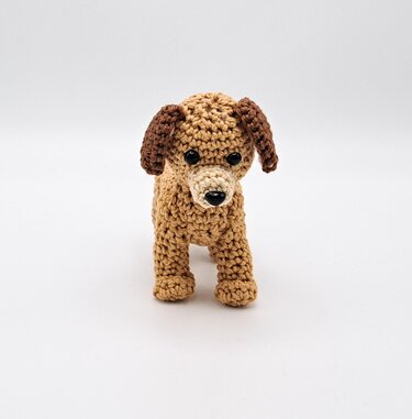 Haustiere - Hund - Bild 6