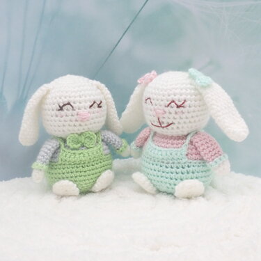 Rosie & Peter Bunny- Crochet Amigurumi Pattern- English
