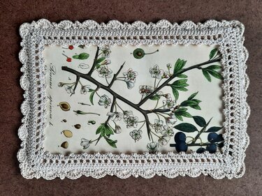 Rechteckiger Rahmen mit cremefarbenem Häkelrand und botanischer Illustration von blühenden Zweigen und Früchten.