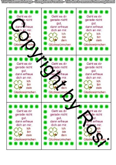 Sorgenwürmchen - Glückswürmchen - Sprüche - Kärtchen - Karte - Bild 2