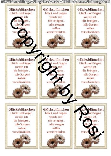 Glücksblümchen - Glückswürmchen - Sprüche - Kärtchen - Karte - Basteln