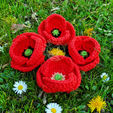 No sew poppy flower - Crochet