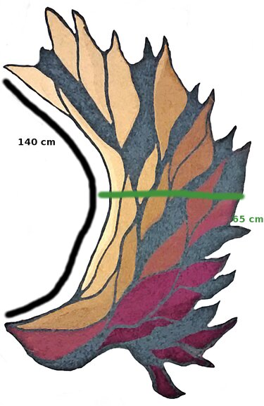 Phoenix-Flügel / Phoenix-Wing - Bild 2
