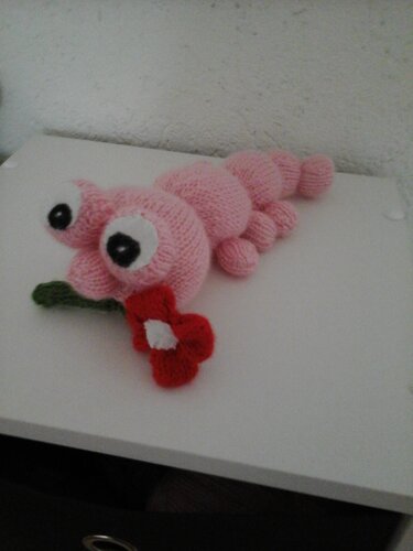 Anleitung für Raupe Carolina - Stricken