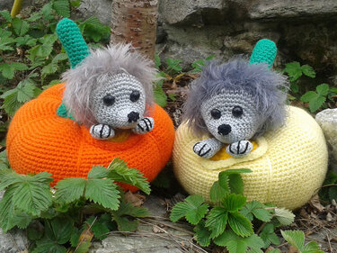 Crochet Pattern "Hedgedog in Pumpkin"