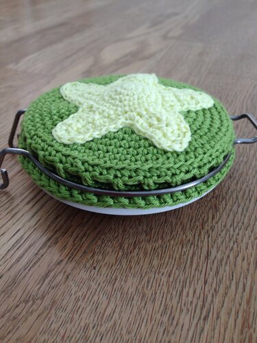 Gehäkelter grüner Deckelbezug mit hellgelbem Stern auf Holztisch.