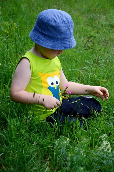 Eule Emma (Plotterdatei) - Bild 2