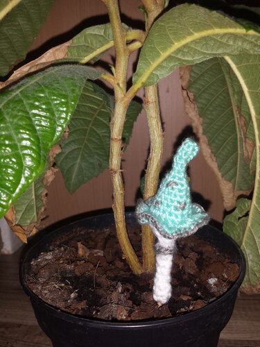 Gehäkelter Pilzstecker mit türkisfarbenem Hut im Blumentopf