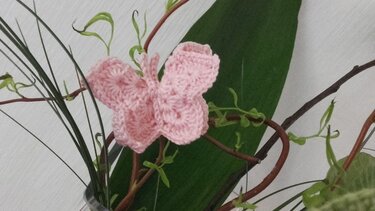 3D-Schmetterling zum Festklemmen Häkelanleitung *3D-Schmetterling in einem Stück ansatzlos gehäkelt* - Bild 3