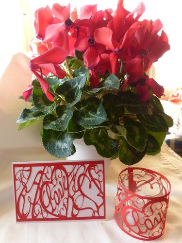 Rote filigrane Plotterkarte und zylindrische Windlicht-Ummantelung vor roter Topfpflanze