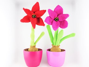 Amaryllis / Hippeastrum - Crochet Pattern