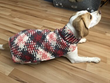 Häkelanleitung Für Hundemantel