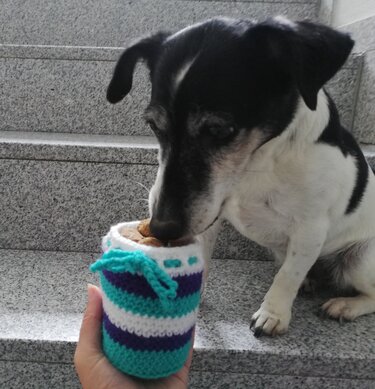 Hund schnuppert an einem gehäkelten, gestreiften Leckerlibeutel, der von einer Hand gehalten wird.