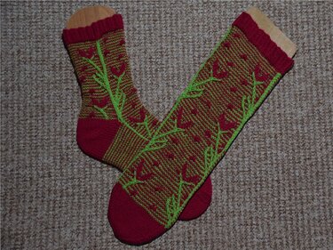 Mehrfarbige Stricksocken mit roten Fersen, olivgrund und grüner aufgestickter Ranke auf Holzspannern