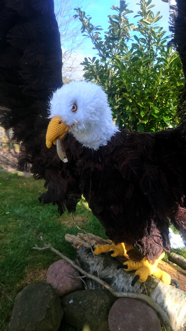Crochet pattern life-size eagle (49 pages)
