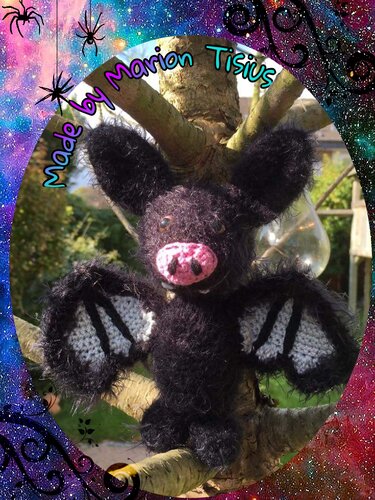 Fledermaus Constantin - Bild 3