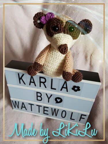 Erdmännchen Fritz oder Karla - Bild 3