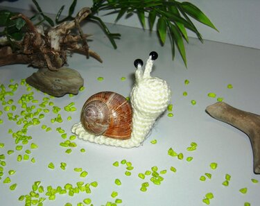 Gehäkelte cremefarbene Schnecke mit natürlicher brauner Schneckenschale und schwarzen Perlenaugen auf hellem Untergrund mit grünen Dekosteinen