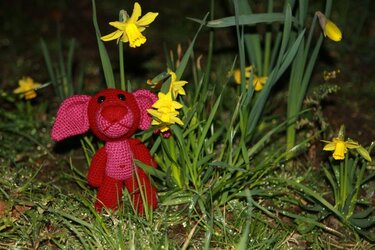 Rot-rosa gehäkelter Amigurumi-Hund im Gras neben gelben Narzissen.