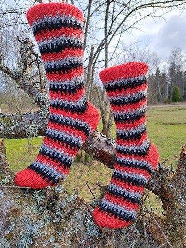 Gestrickte rot-schwarz-graue Streifensocken mit roter Ferse auf einem Baumast