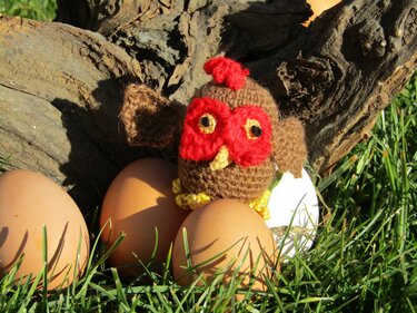 Häkelanleitung - Huhn und Hahn