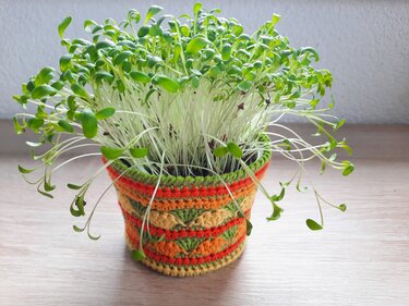 Übertöpfchen fürs Upcycling - Häkeln