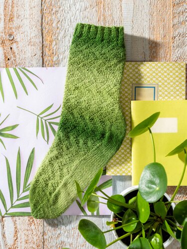 grüne gestrickte Damensocke mit diagonalem Strukturmuster auf Holzuntergrund neben Papieren und Topfpflanze
