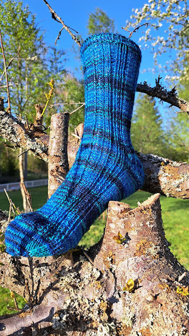 Handgestrickte blaue Socke auf einem Baumast im Freien vor blauem Himmel und Bäumen.