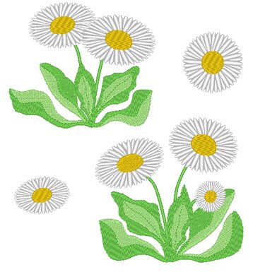 Gestickte weiße Gänseblümchen mit gelben Zentren und grünem Laub; einzelne Motive und kleine Büschel zum Kombinieren