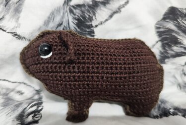 Guinea pig crochet application US terms