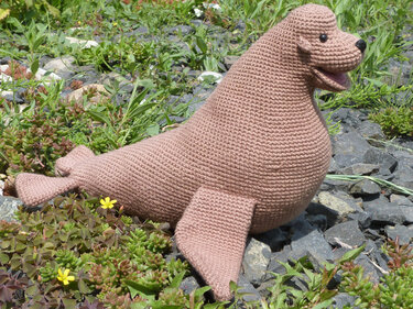 Stevie Seelöwe, Häkelanleitung für Links- und Rechtshänder