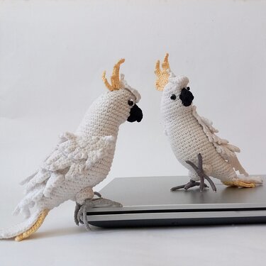 Cockatoo parrot. Crochet pattern