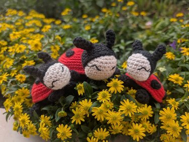 Nahaufnahme von drei kleinen gehäkelten Marienkäfern auf gelben Blumen