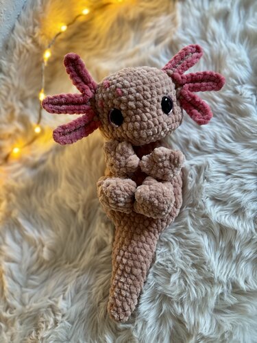 Lotty das Axolotl - Bild 4