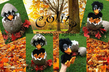 Rabenbaby Rafael Häkelanleitung Amigurumi