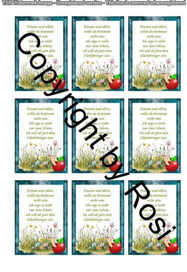 Karten zum Beilegen für Sorgen- und Glückwürmchen - einfach ausdrucken - Basteln