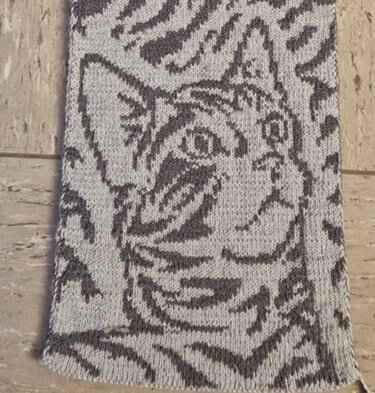 Schal Tigerkatze mit Doubleface gestrickt
