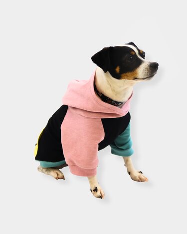 eBook Hunde-Hoodie