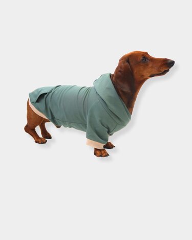 eBook Hunde-Hoodie - Nähen