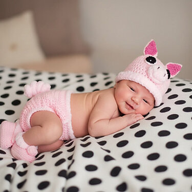 Pig Set - PDF Pattern - Crochet - Size 0-3 Months