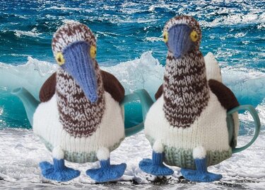 TeaCosyFolk's Blue-Footed Booby Tea Cosy Knitting Pattern