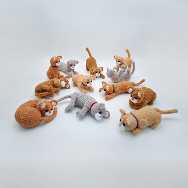 Charlie, the sphinx cat - Crochet